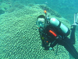 great barrier reef
