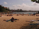 Shelley Beach