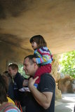 At the gorillas