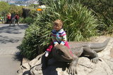 Riding the Komodo dragon