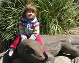 Riding the Komodo dragon